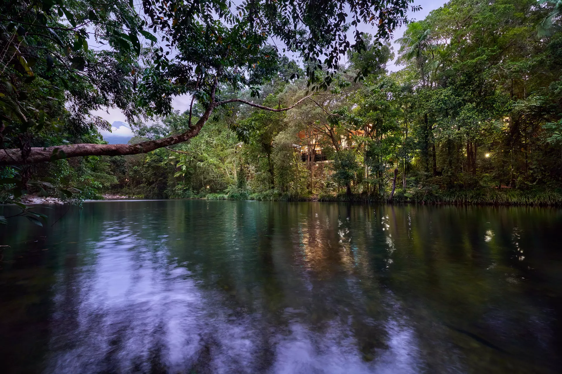 silky-oaks-lodge