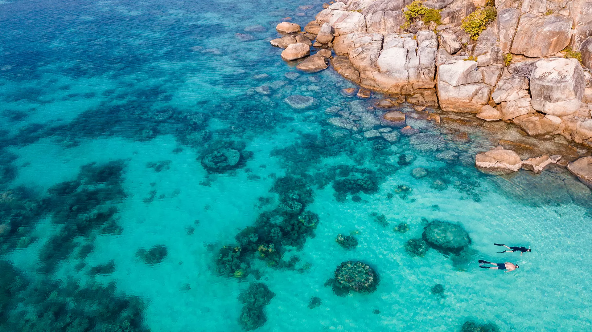 coral-reef-lizard-island